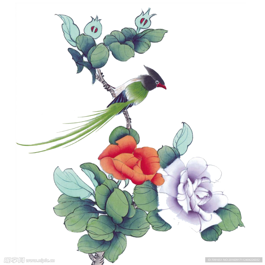 手绘花鸟 分层图