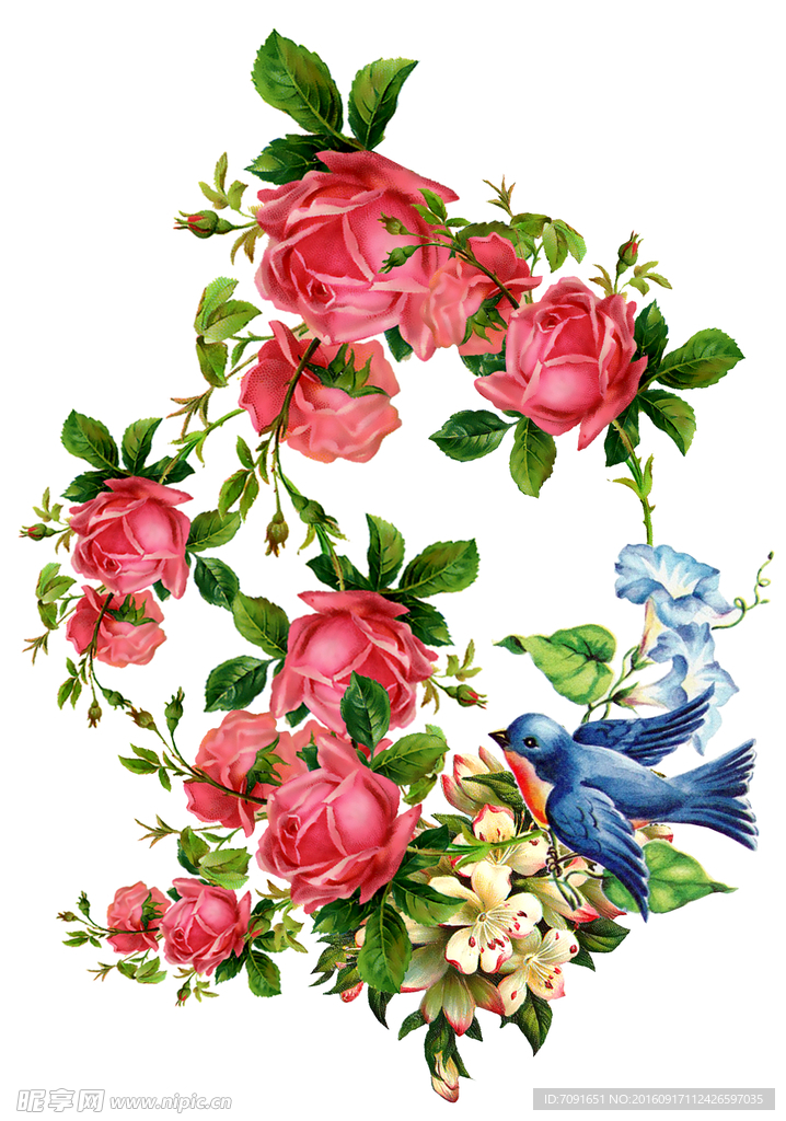 手绘花鸟分层图