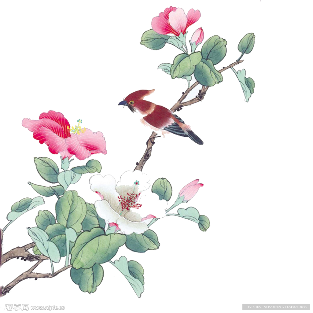 手绘花鸟分层图