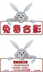 兔子举牌