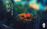 二十四节气秋分