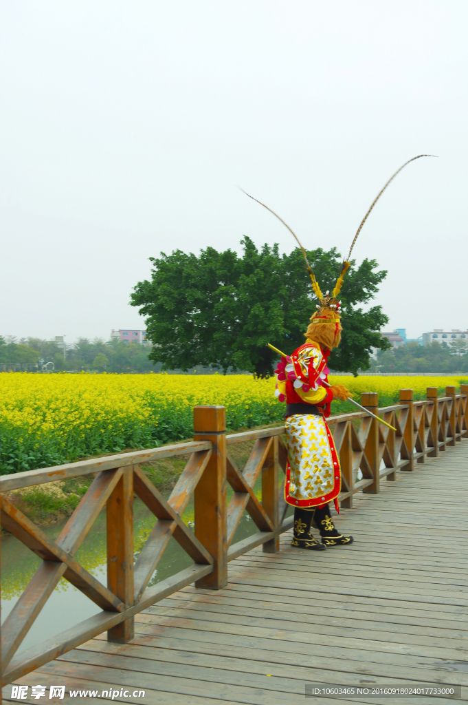 大圣看菜花