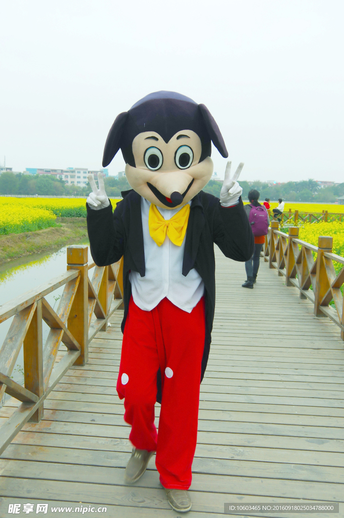 田园米奇 米奇小丑