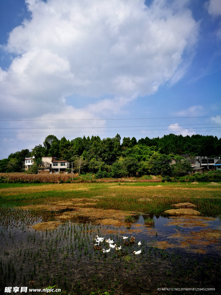 蓝天下的田野