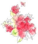 浪漫花朵素材