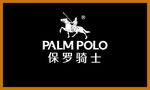 保罗骑士标志
