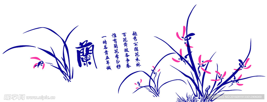 兰花