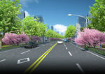 带公交站城市道路绿化效果
