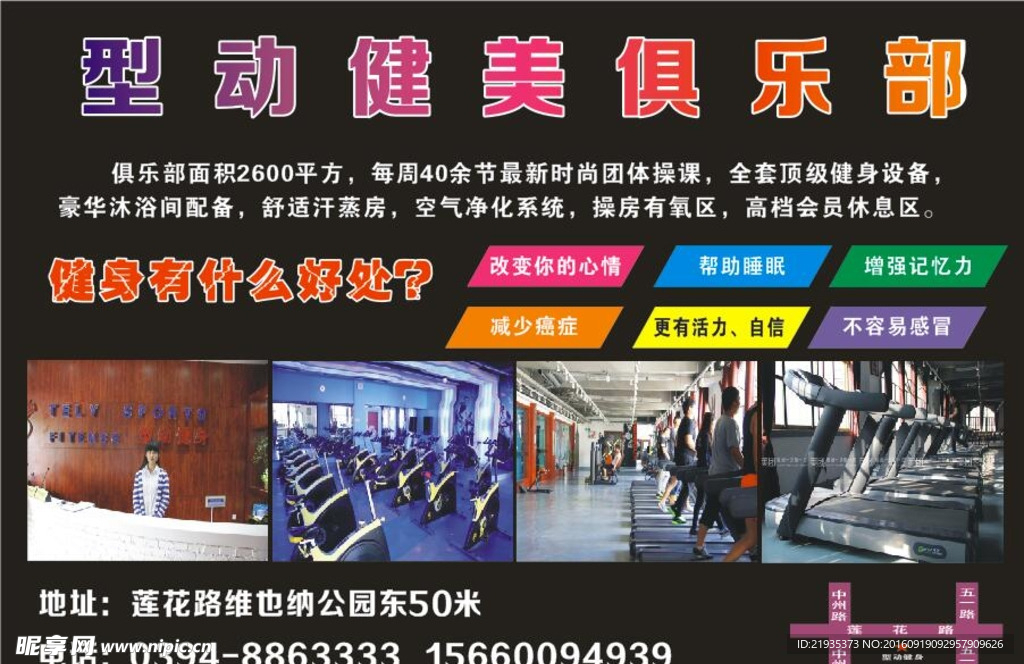 型动健美