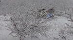 雪后田野