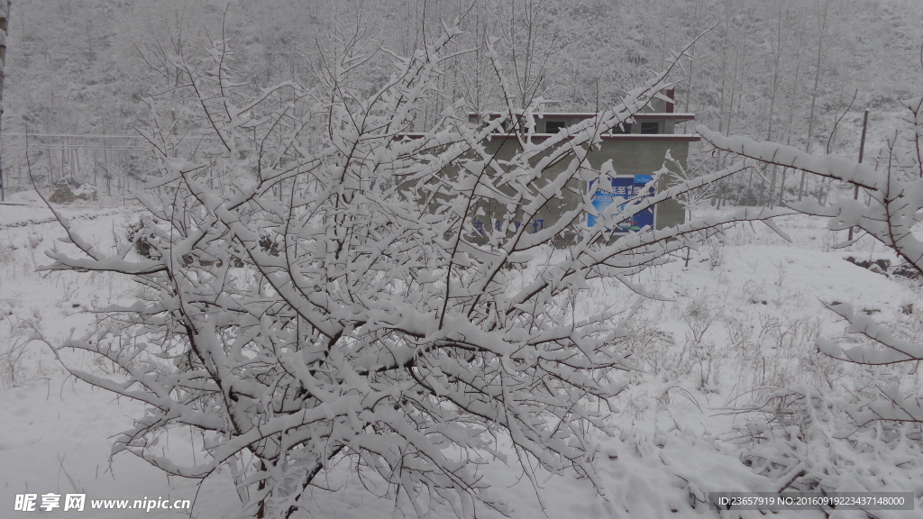 雪后田野