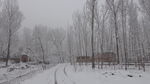 雪后田野