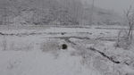 雪后天野