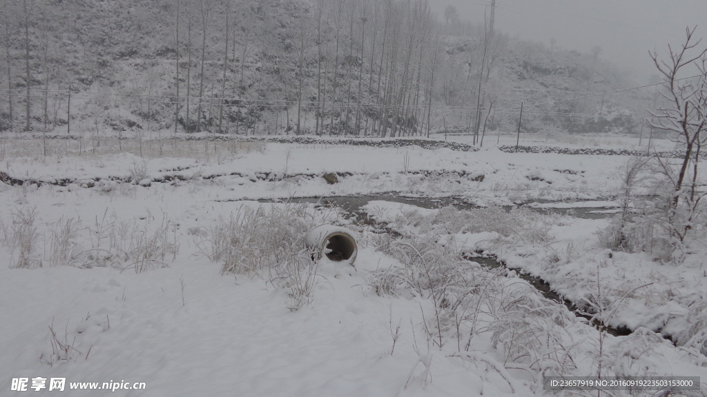 雪后天野