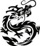矢量龙
