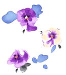 唯美花朵素材