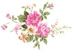 浪漫唯美花朵素材