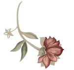 花纹花朵素材