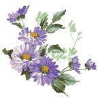 紫色唯美花朵素材