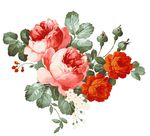 浪漫唯美花纹素材