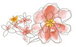 浪漫唯美花朵素材