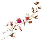 唯美花纹花朵素材