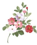 唯美浪漫花朵素材