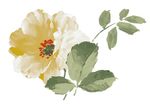 唯美花朵素材