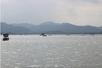 波光