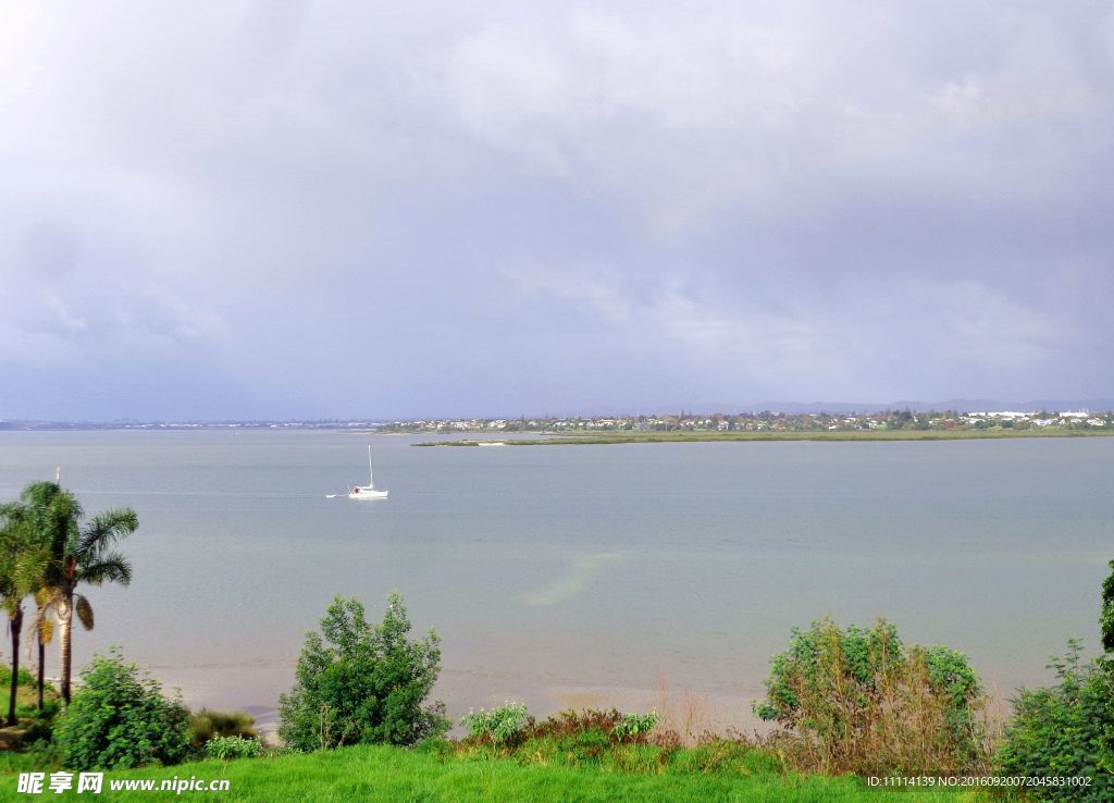 奥克兰海滨风景