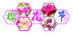 樱花节