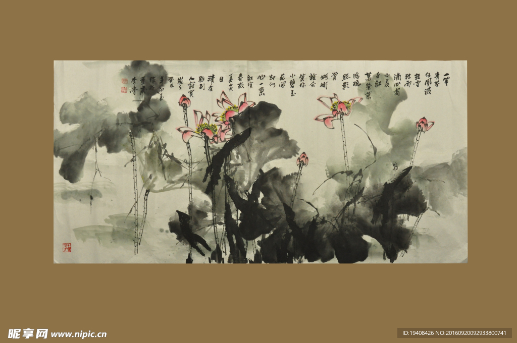荷花