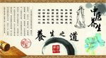 中医养生知识素材PSD