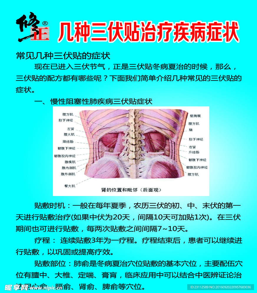 三伏贴治疗疾病症状