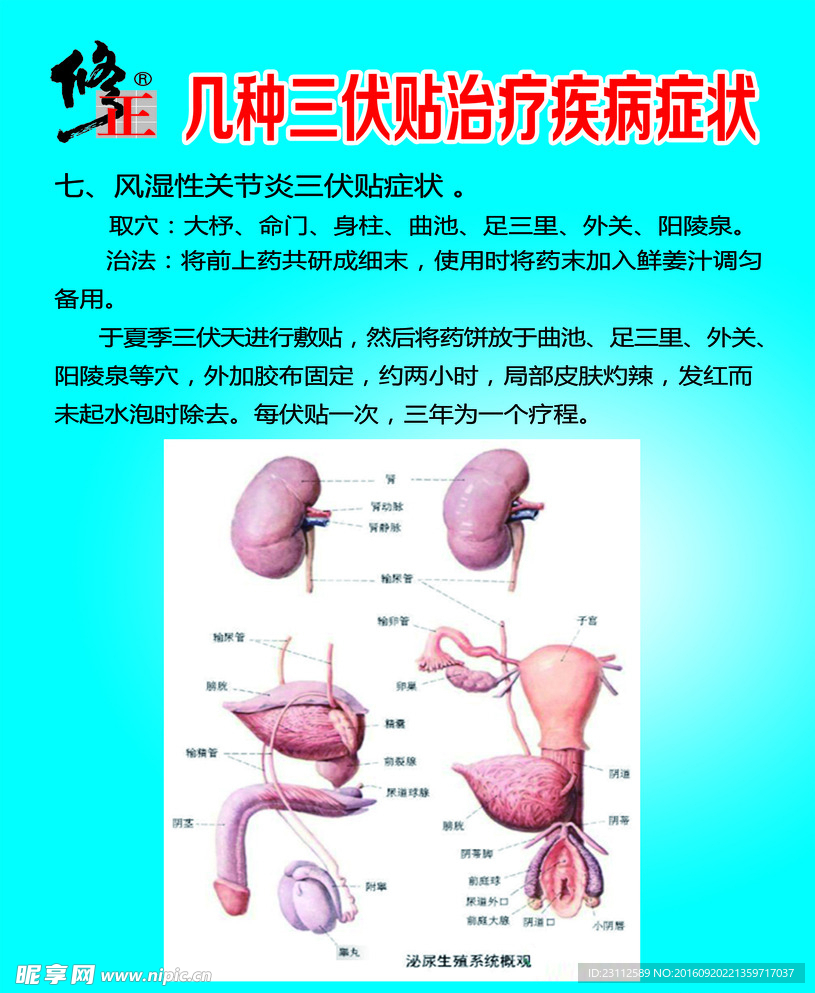 三伏贴治疗症状