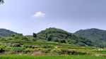 山川的田野