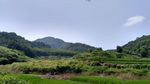 山川的田野