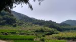 山川的田野