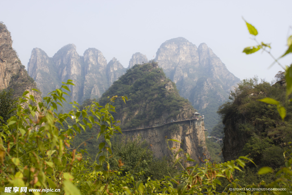 山与绿树