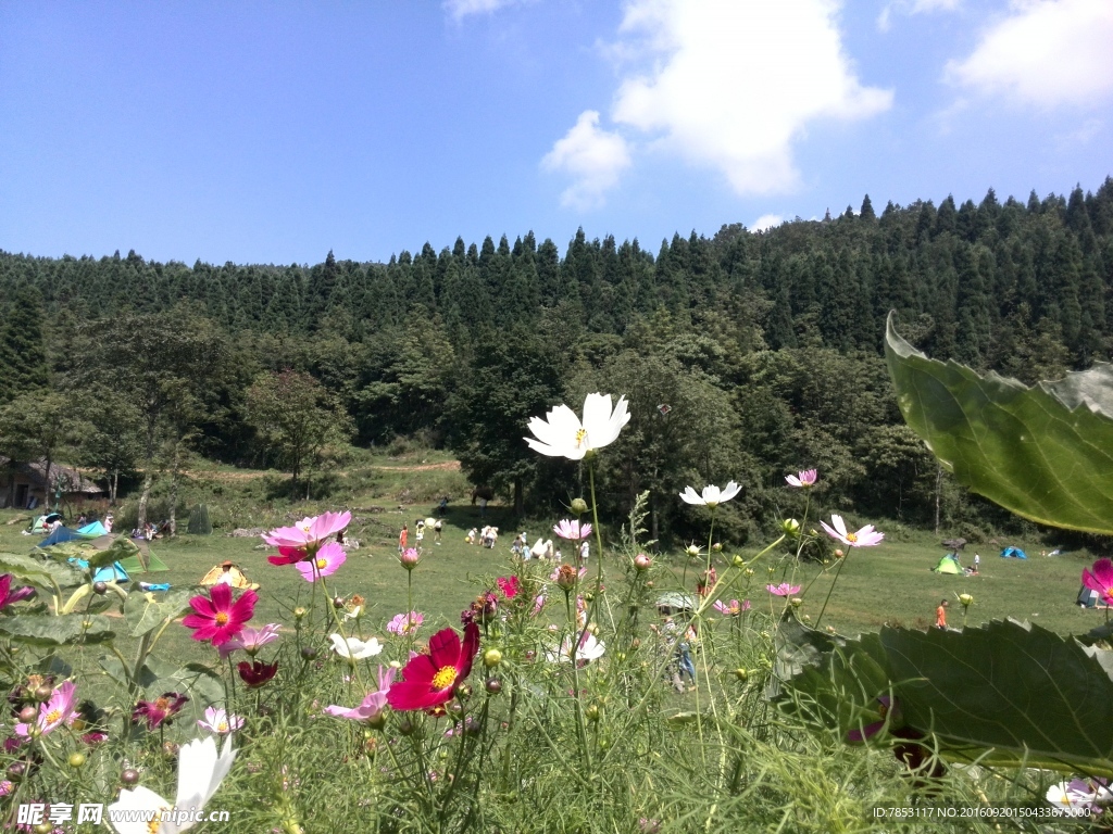 武陵山国家森林公园