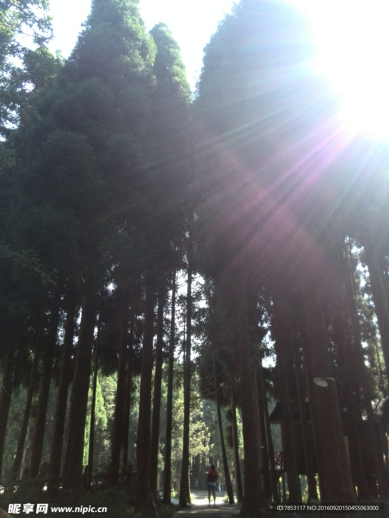 武陵山国家森林公园