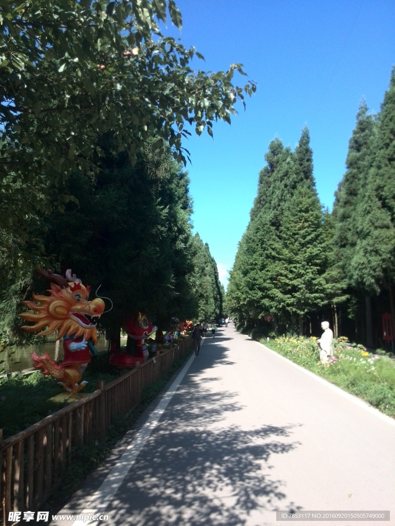 武陵山国家森林公园
