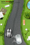 鼠标赛跑