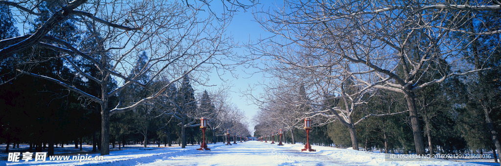 雪景