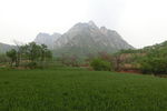 少室山春景