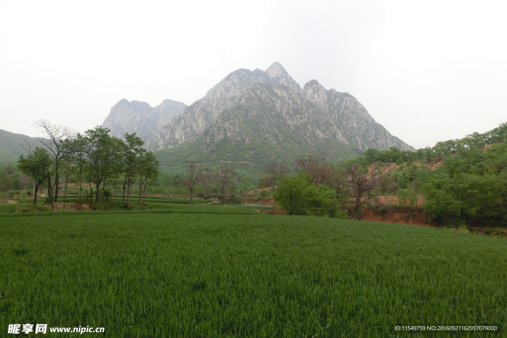 少室山春景