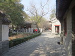 嵩阳书院冬景