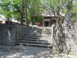 会善寺春景