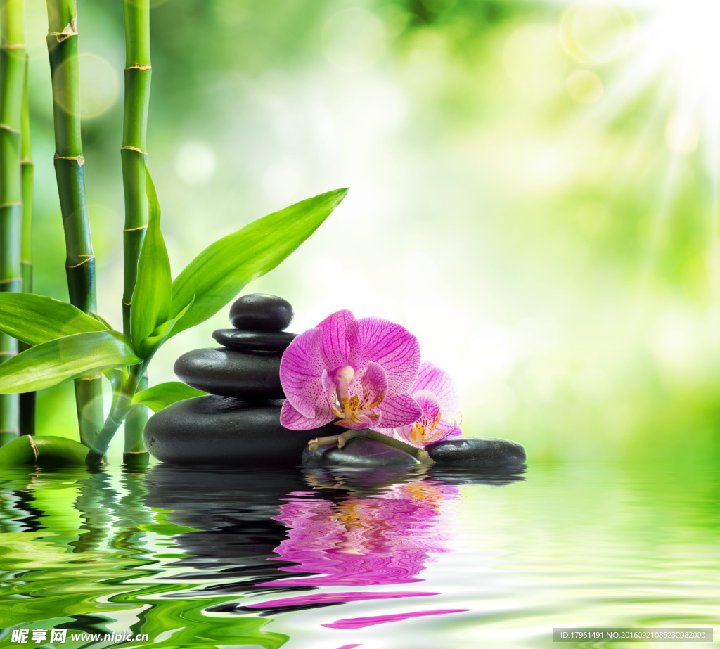 水疗素材