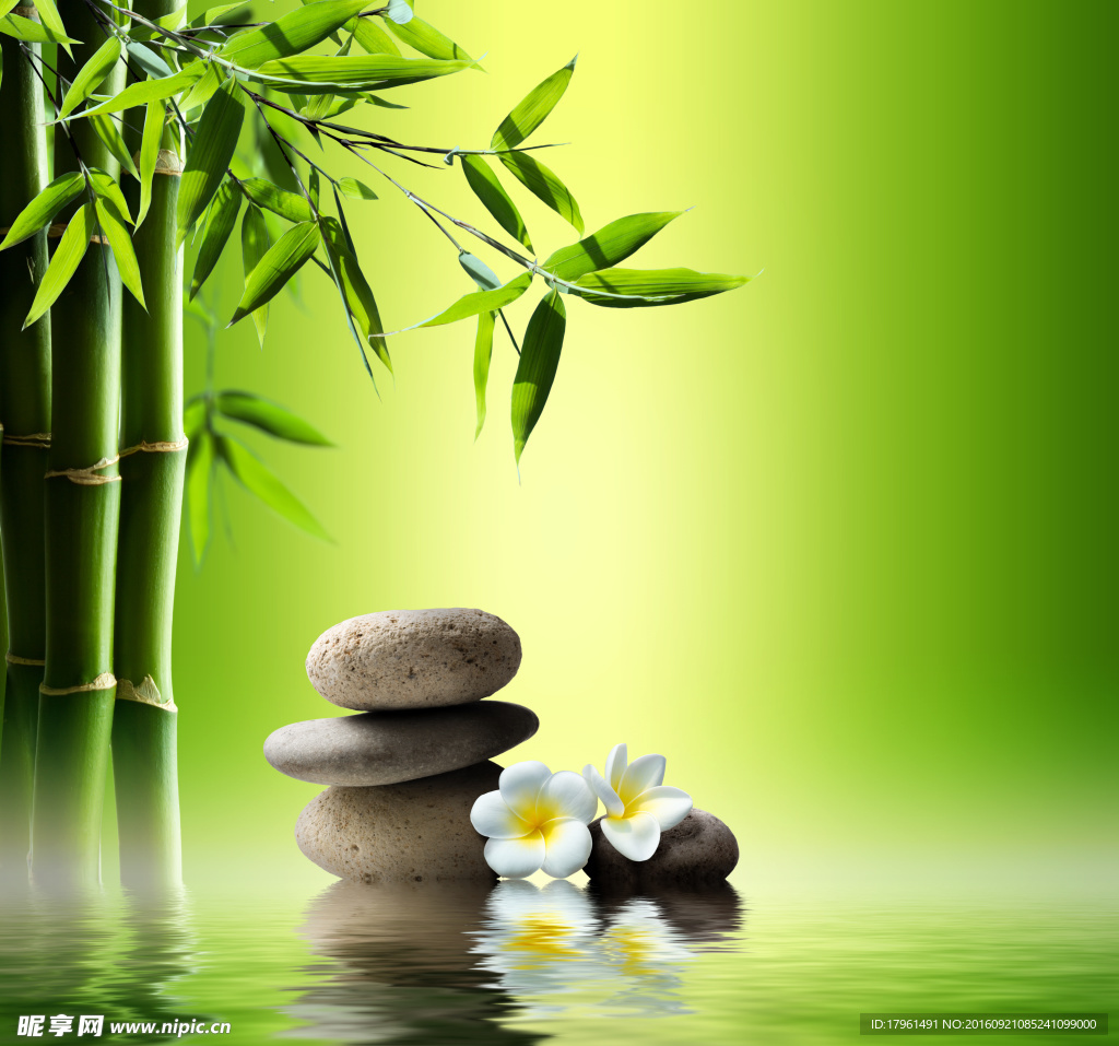 水疗素材